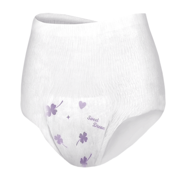 Disposable Period Panty for Female