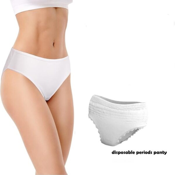 Disposable Period Panty for Female